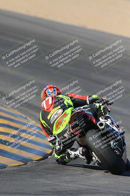 media/Nov-12-2023-SoCal Trackdays (Sun) [[5d1fba4e7d]]/Turn 10 Backside (115pm)/